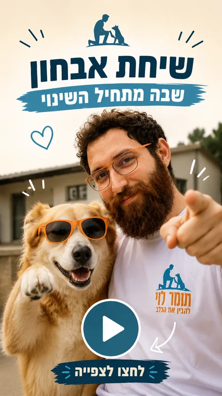סרטון תומר